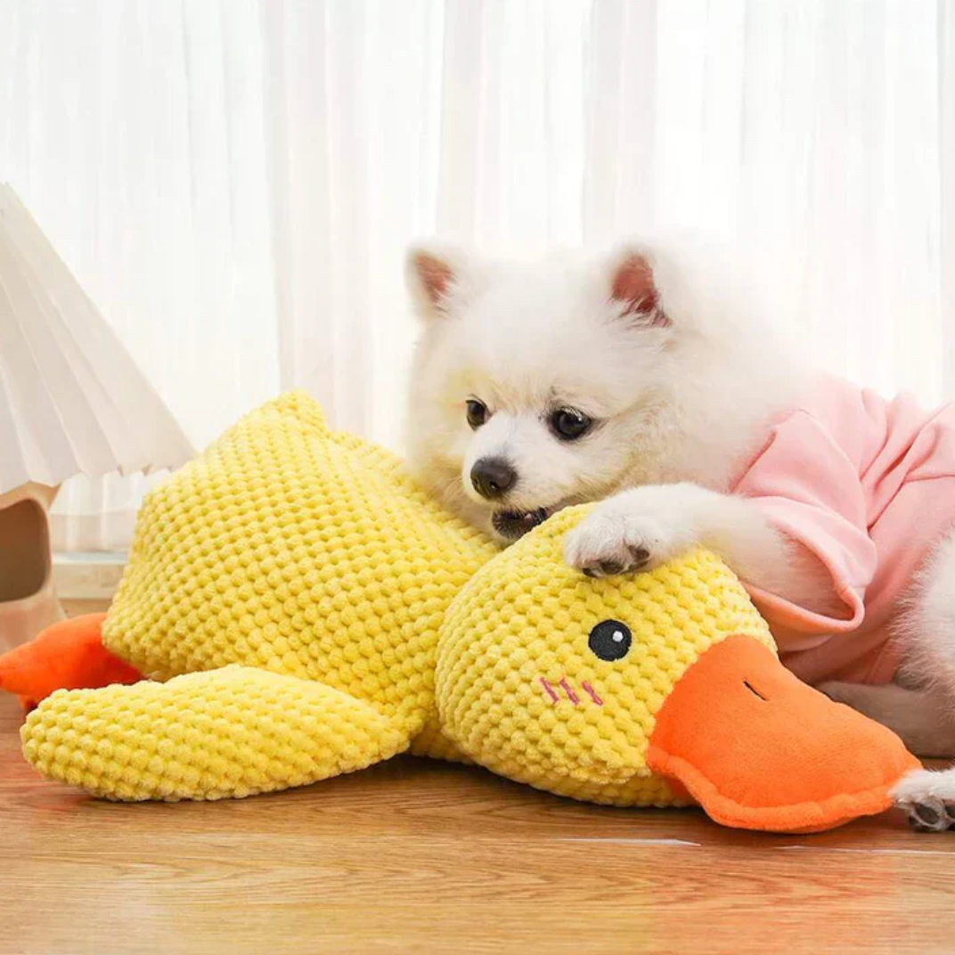 Ailami |Canard calmant